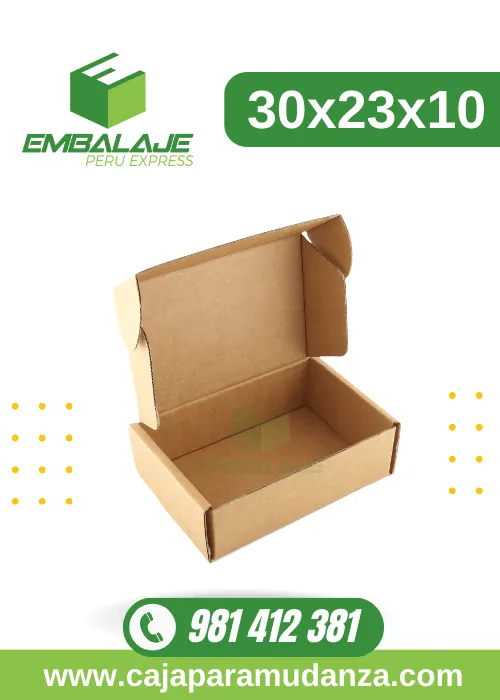 Caja Envio 30x23x10