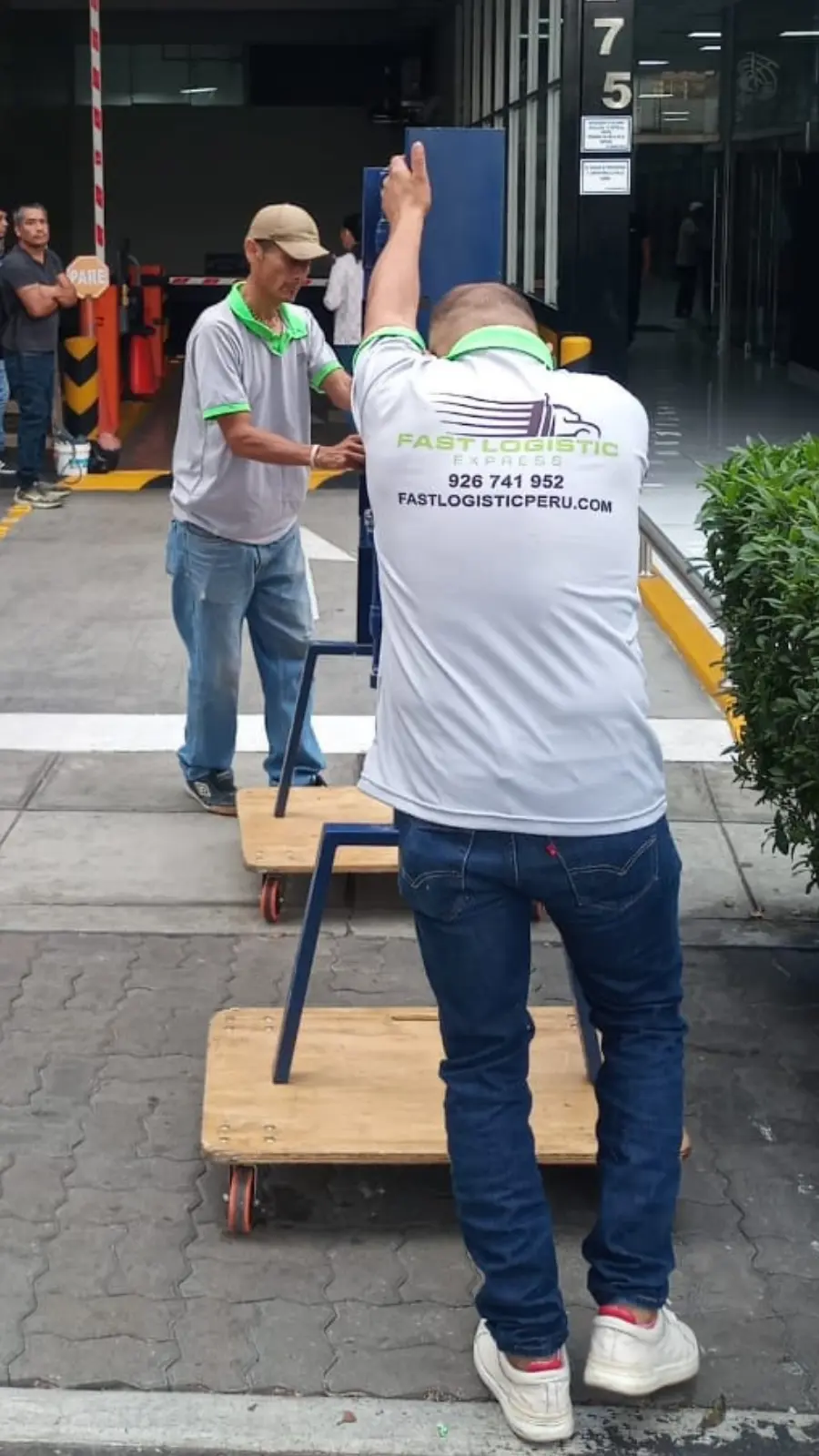 mudanzas-economicas-lima-5